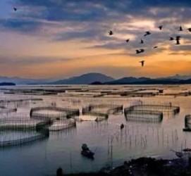 涉县伴游中国网景点丰富(旅游网介绍)