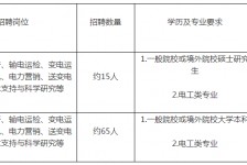 涉县重庆有雇用伴游外围吗(高端外围伴游雇用一单一结)