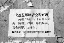 涉县珠海伴游雇用网(珠海游览社雇用信息)
