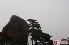 涉县上海伴游私家陪游雇用女模(上海伴游私家陪游雇用女模特)