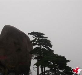 涉县上海伴游私家陪游雇用女模(上海伴游私家陪游雇用女模特)