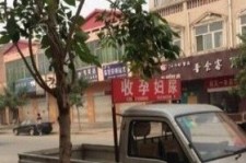 涉县上海伴游 用伴游造句大全(5