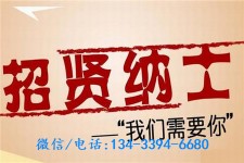 涉县酒店雇用伴游(酒店雇用伴游办事员)