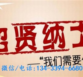 涉县酒店雇用伴游(酒店雇用伴游办事员)