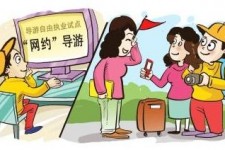 涉县伴游是什么