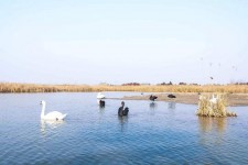 涉县南昌附近伴游小妹兼职(1534939978姐的微信德惠市)