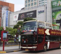 涉县上海私人伴游 上海过年怎么玩？这些“微游”线路了解下→