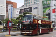 涉县上海私人伴游 上海过年怎么玩？这些“微游”线路了解下→
