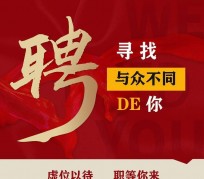 涉县商务伴游招聘 重庆星级酒店诚招司机服务员夜场保安