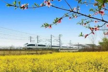涉县高铁游(高铁游戏下载手机版)