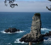 涉县旅游全攻略(上海旅游全攻略)
