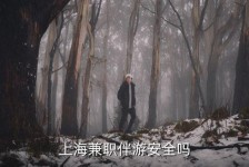 涉县上海私人伴游 上海伴游，上海兼职伴游安全吗