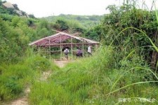 涉县北海伴游兼职雇用信息(北海伴游兼职雇用信息大全)