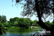 涉县西湖旅游攻略(上海到杭州西湖旅游攻略)