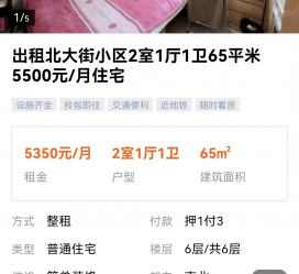 涉县私人伴游是什么 “过年租友”陷阱：骗财与色情服务