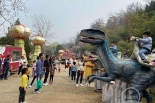 涉县中国伴游带你打卡网红南山竹海(南山竹海网上预约)
