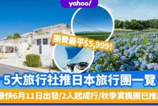 涉县旅游价格(旅游价格机制)