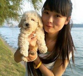涉县中国伴游网靠谱吗(伴游是真的吗?)