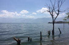 涉县洱海旅游攻略(洱海旅游攻略自由行)
