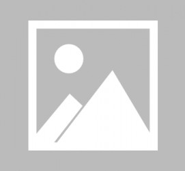 涉县全国男伴游雇用信息(哪里有雇用男士伴游的)