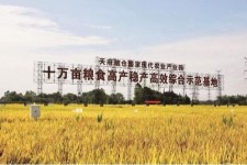 涉县关于成都商务伴游外围雇用的信息