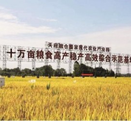 涉县关于成都商务伴游外围雇用的信息