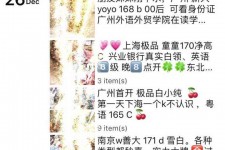 涉县外围伴游雇用圈套(雇用伴游什么样子的是实的)