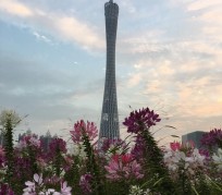 涉县广州旅游攻略(杭州到广州旅游攻略)
