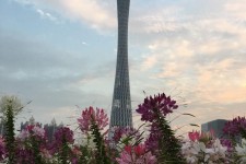 涉县广州旅游攻略(杭州到广州旅游攻略)