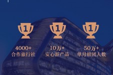 涉县上海私人伴游 ​ “小而美”的新时代：2020年国内新跟团消费报告