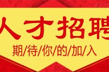 涉县上海伴游招聘 招聘 | 浦东机场专柜销售