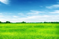 涉县上海伴游 上海模特伴游微信号的交友宣言