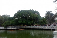 涉县福州旅游攻略(福州旅游攻略二日游)