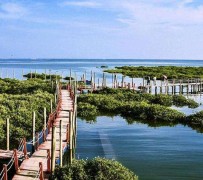 涉县旅游哪里好玩(云南旅游哪里好玩)