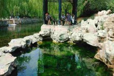 涉县济南旅游攻略(青岛威海济南旅游攻略)