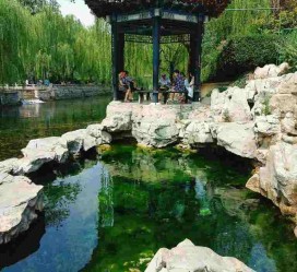 涉县济南旅游攻略(青岛威海济南旅游攻略)