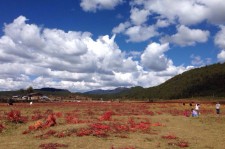 涉县旅游去处(暑期最好的旅游去处)