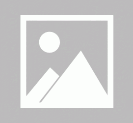 涉县私人伴游 黄金周里动“黄”经 天津又现“私人陪游”逆流