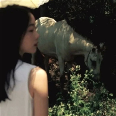 涉县私家伴游让你拥有一次完美的旅游体验