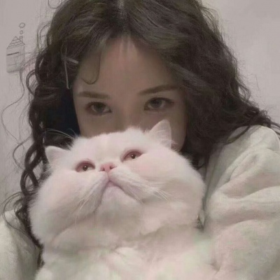 涉县伴游女生韩婉婷的资料